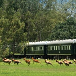 Trem Rovos