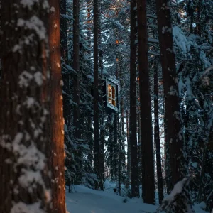 Treehotel – Harads - Suécia