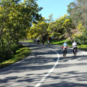 Road Bike - Algarve Roundtrip - 8 dias