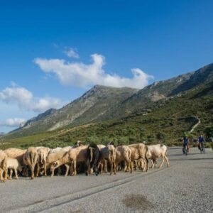 Egeu Meridional de Bike & Boat - 8 dias